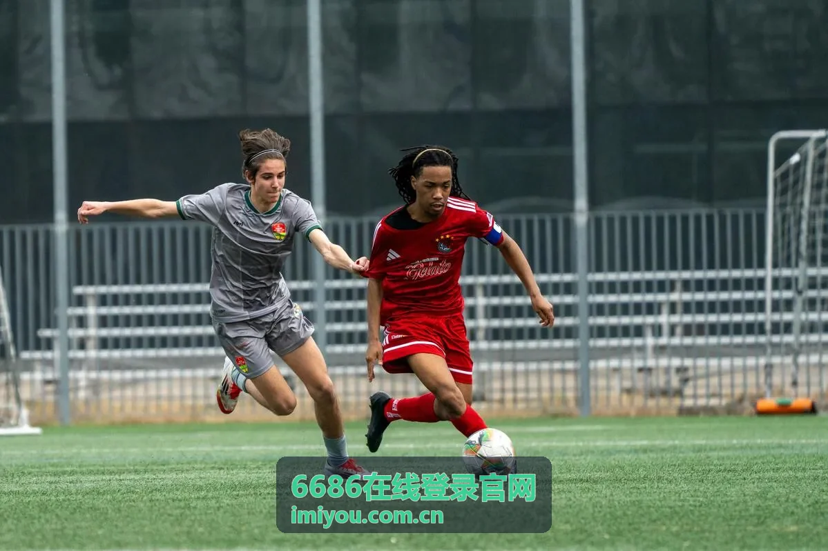 6686在线登录官网登录指南封面