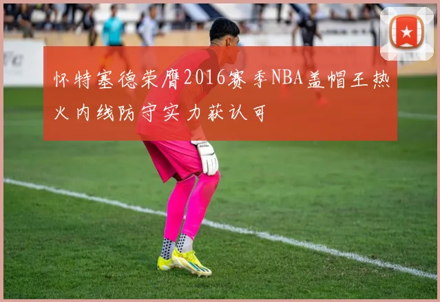 怀特塞德荣膺2016赛季NBA盖帽王热火内线防守实力获认可