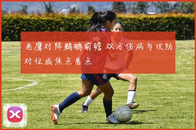 老鹰对阵鹈鹕前瞻 双方伤病与攻防对位成焦点看点