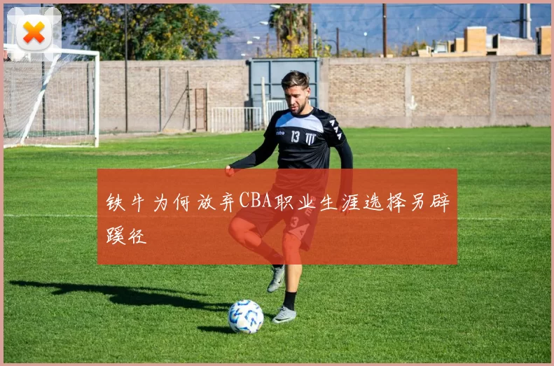 铁牛为何放弃CBA职业生涯选择另辟蹊径