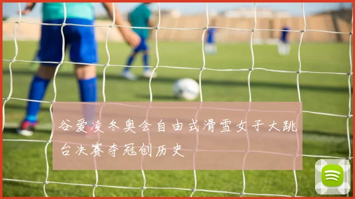 谷爱凌冬奥会自由式滑雪女子大跳台决赛夺冠创历史